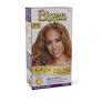 bigen easy color 6HB
